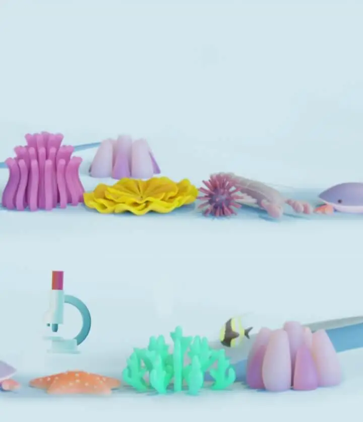 products-differences